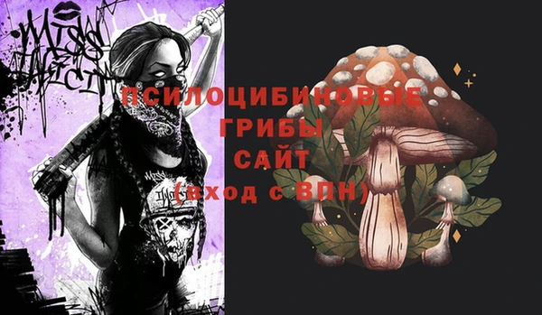 PSILOCYBIN Алзамай