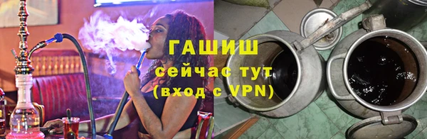 PSILOCYBIN Алзамай