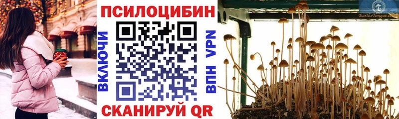 Галлюциногенные грибы MAGIC MUSHROOMS мега tor дарк нет состав наркотики Карабулак