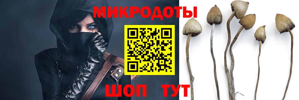 Карабулак  Псилоцибиновые грибы ЛСД  Вход с VPN 