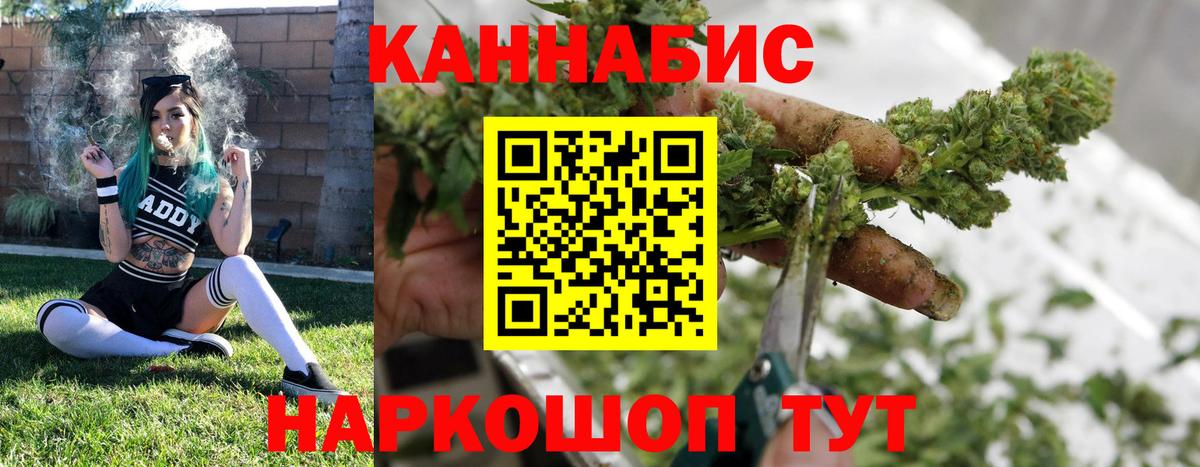 Каннабис White Widow Карабулак